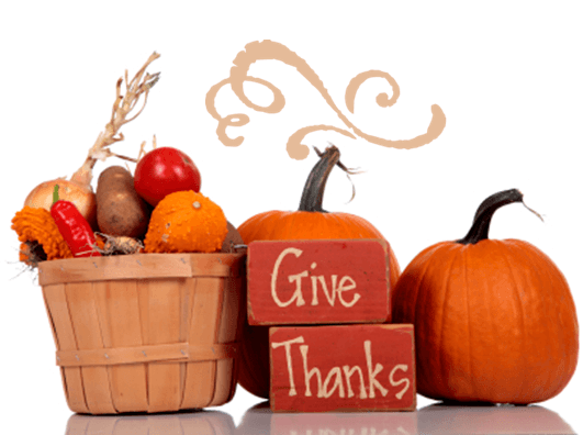 Artemedica Thanksgiving Facebook Giveaway