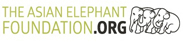 the asian elephant foundation logo