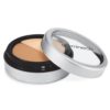 GloMinerals Under Eye Concealer