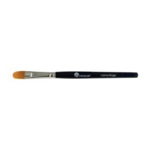 Glo Minerals Camouflage Concealer Brush