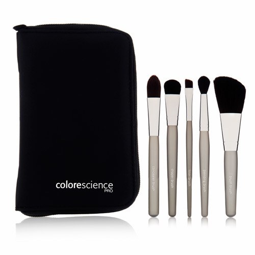 makeup brush carry case