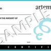 Artemedica Spa Gift Certificate
